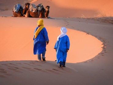 camel men merzouga
